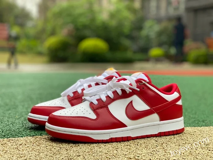 Nike Dunk Low Retro Gym Red White Red DD1391-602