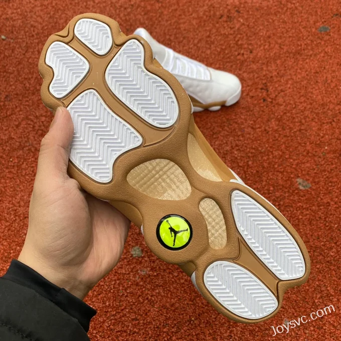 Air Jordan 13 