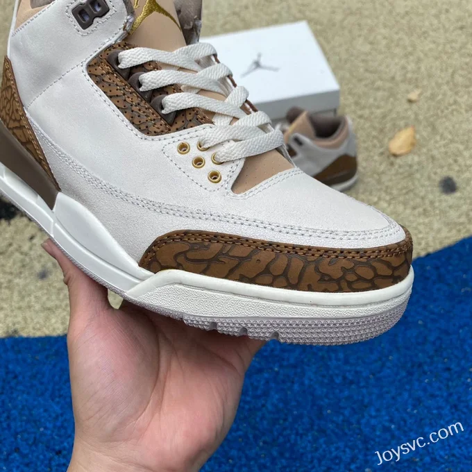 Air Jordan 3 Palomino CT8532-102 Grey Brown