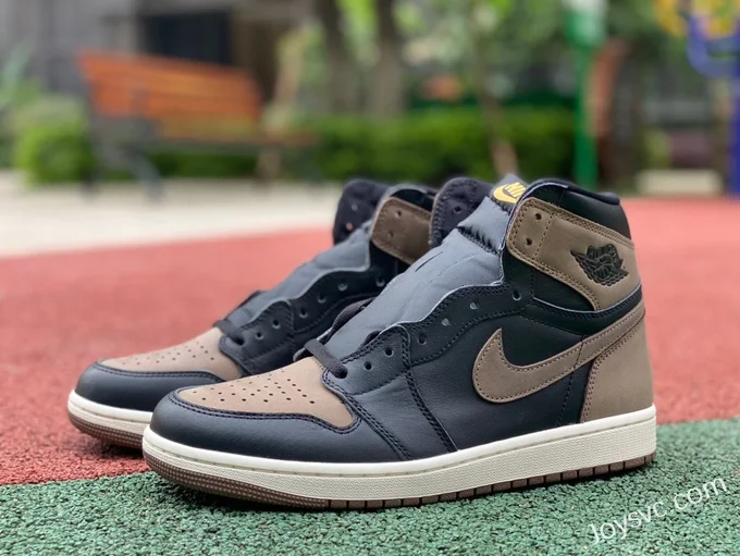 Air Jordan 1 High OG DZ5485-020 Palomino