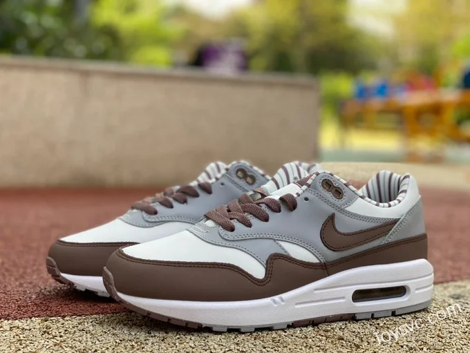 Nike Air Max 1 Shima Shima Brown Grey Running Shoes FB8916-100