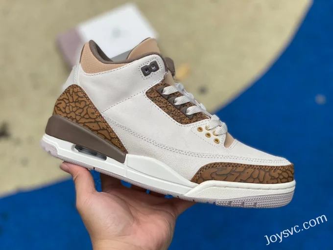 Air Jordan 3 Palomino CT8532-102 Grey Brown