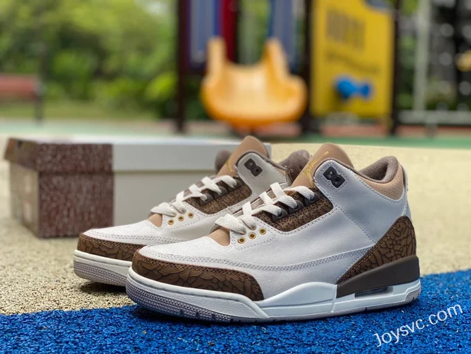 Air Jordan 3 Palomino CT8532-102 Grey Brown