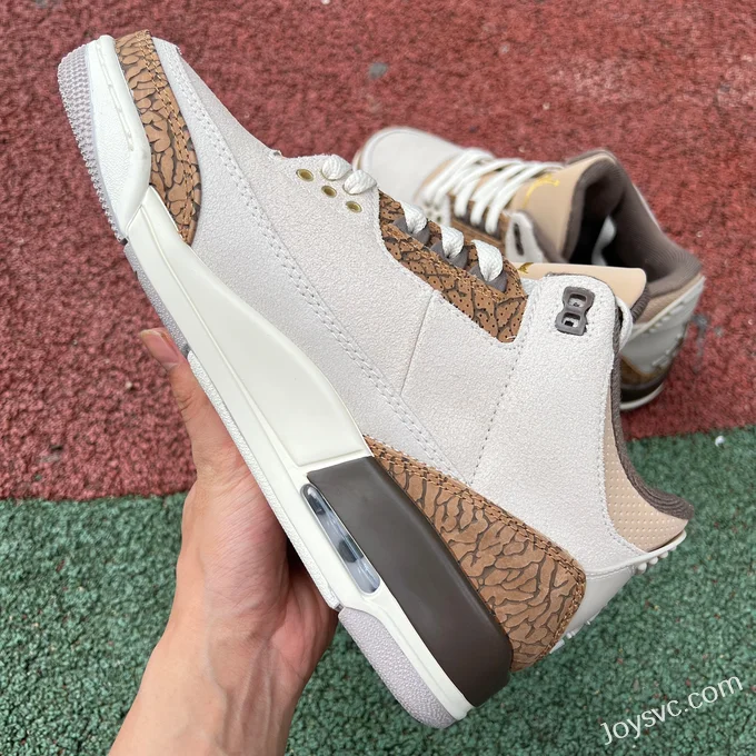 Air Jordan 3 Palomino CT8532-102 Grey Brown