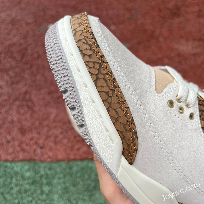 Air Jordan 3 Palomino CT8532-102 Grey Brown