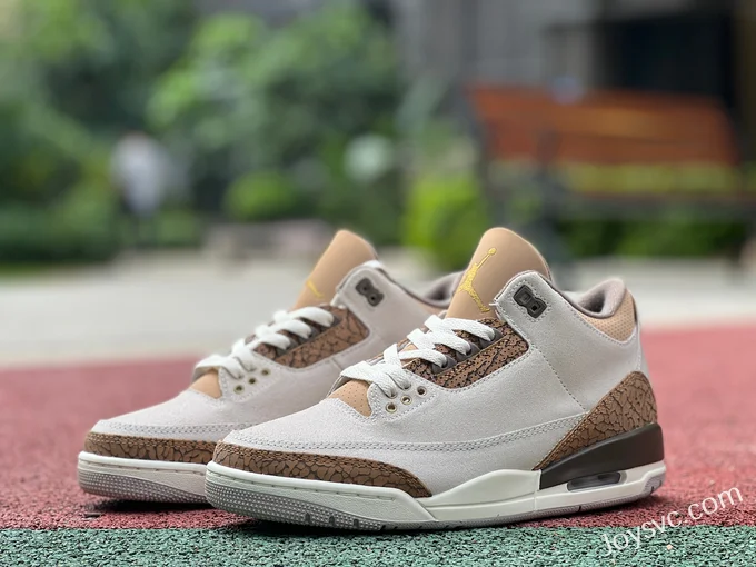 Air Jordan 3 Palomino CT8532-102 Grey Brown