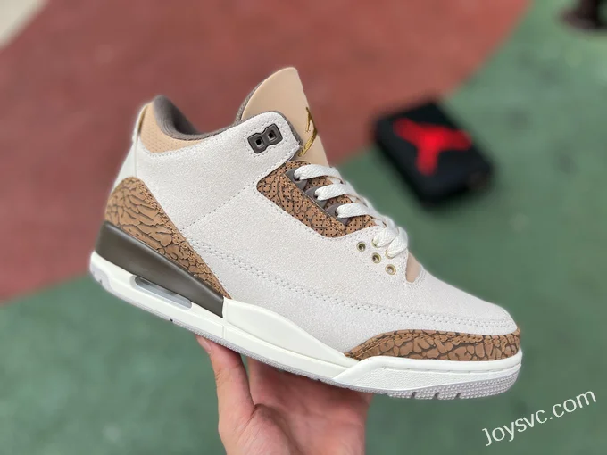 Air Jordan 3 Palomino CT8532-102 Grey Brown