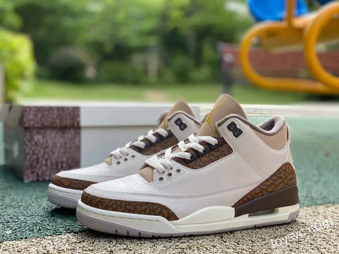 Air Jordan 3 Palomino CT8532-102 Grey Brown