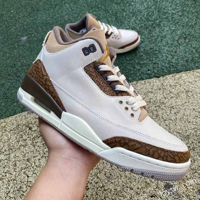 Air Jordan 3 Palomino CT8532-102 Grey Brown