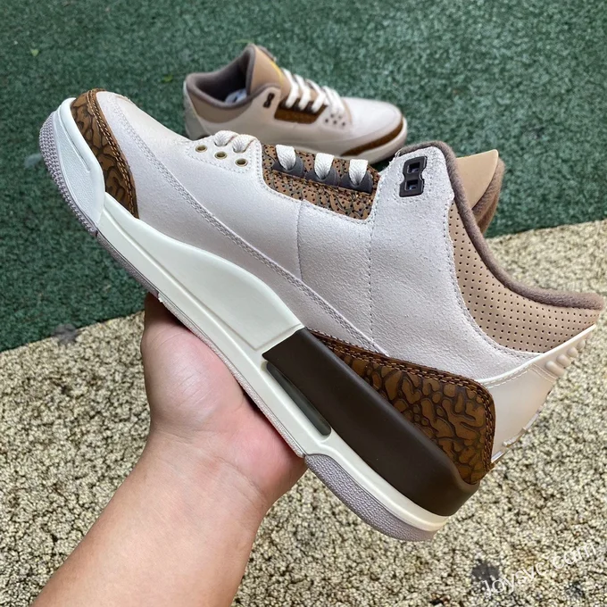 Air Jordan 3 Palomino CT8532-102 Grey Brown