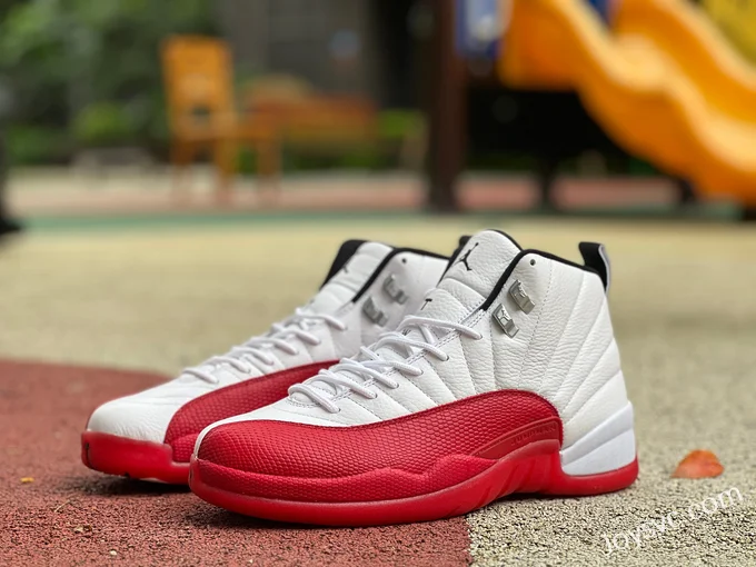 Air Jordan 12 