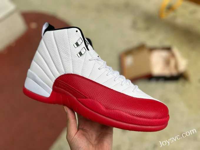 Air Jordan 12 