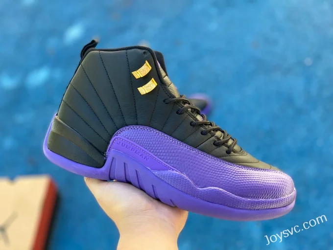 Air Jordan 12 Black Purple CT8013