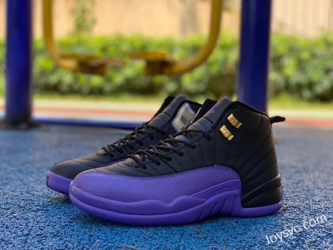 Air Jordan 12 Black Purple CT8013