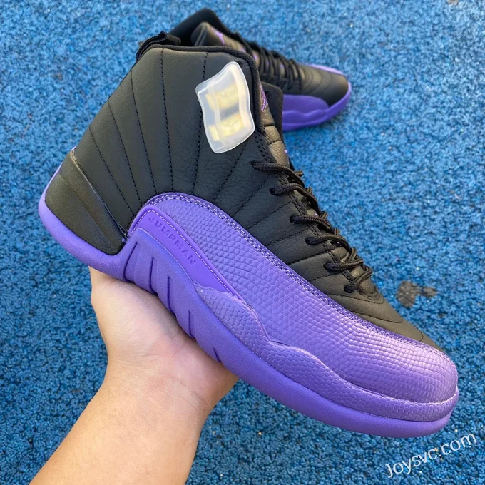 Air Jordan 12 Black Purple CT8013