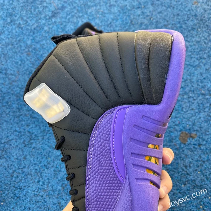 Air Jordan 12 Black Purple CT8013