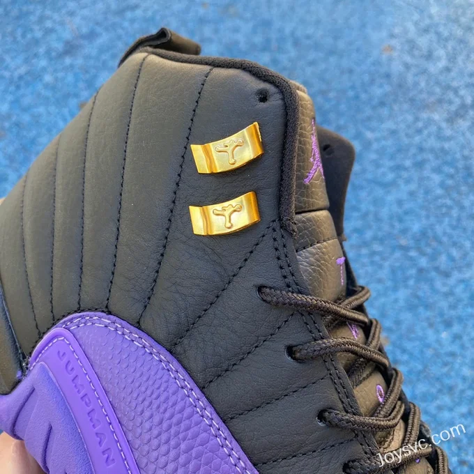 Air Jordan 12 Black Purple CT8013