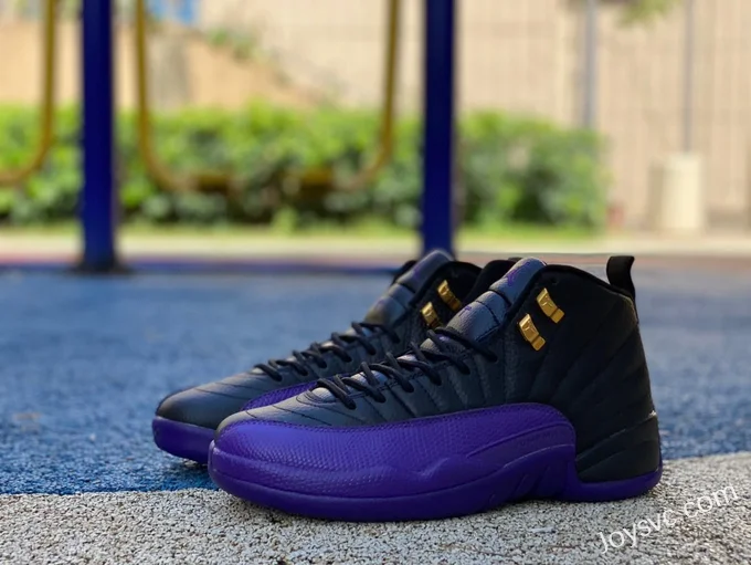 Air Jordan 12 Black Purple CT8013