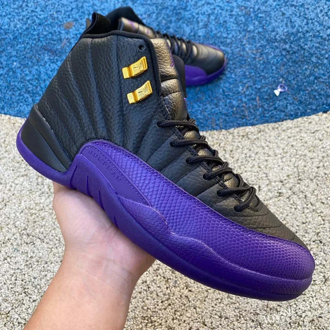 Air Jordan 12 Black Purple CT8013