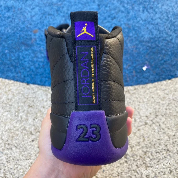 Air Jordan 12 Black Purple CT8013