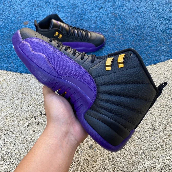 Air Jordan 12 Black Purple CT8013