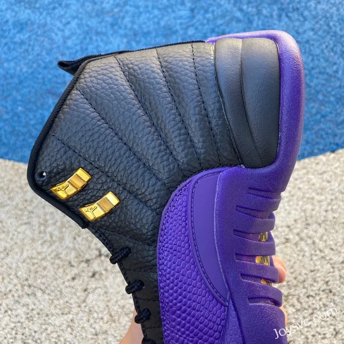 Air Jordan 12 Black Purple CT8013