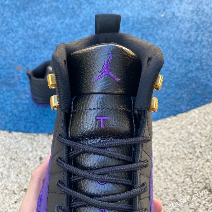 Air Jordan 12 Black Purple CT8013