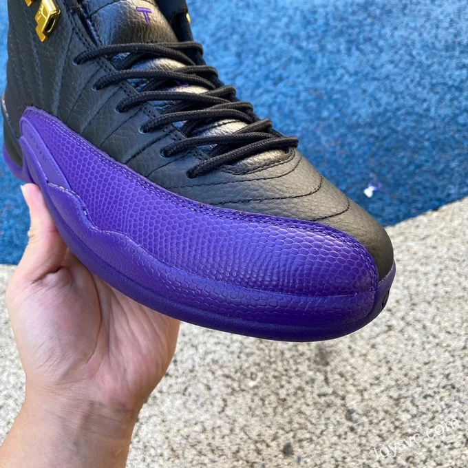 Air Jordan 12 Black Purple CT8013