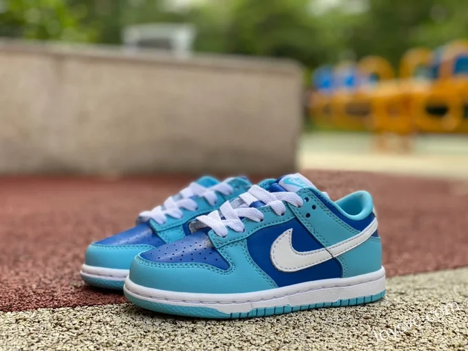 Nike Dunk Low Retro QS Kids Blue DV2635-400