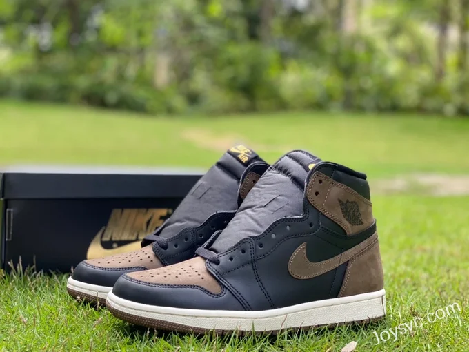 Air Jordan 1 High DZ5485-020 Palomino Brown Retro