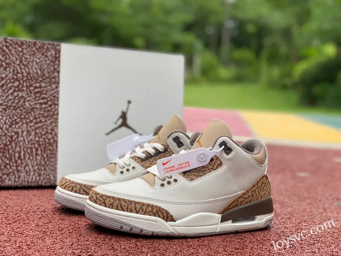 Air Jordan 3 Palomino CT8532-102 White Brown