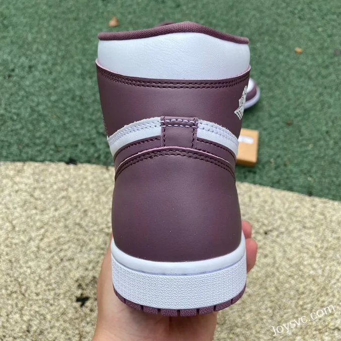 Air Jordan 1 High DZ5485-105 Sky J Mauve