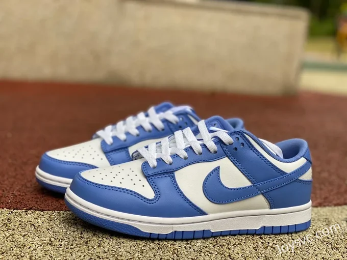 Nike Dunk Low Arctic Blue DV0833-400