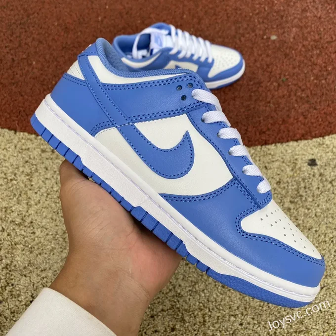 Nike Dunk Low Arctic Blue DV0833-400