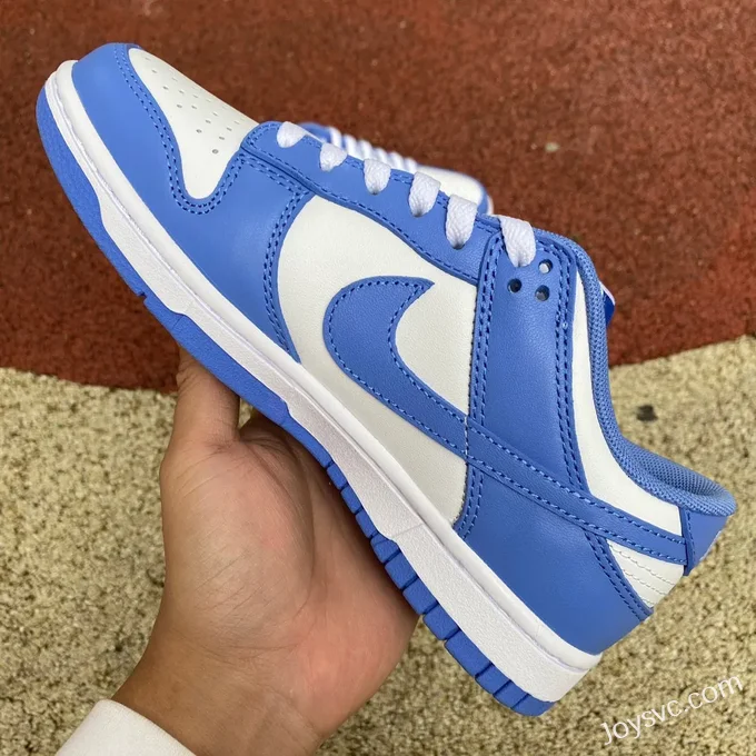 Nike Dunk Low Arctic Blue DV0833-400