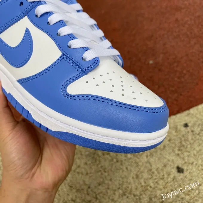 Nike Dunk Low Arctic Blue DV0833-400