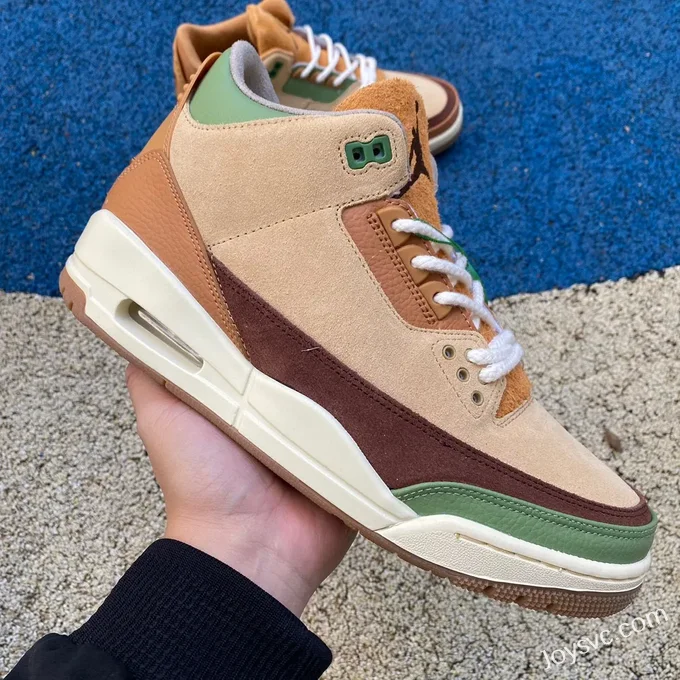 Air Jordan 3 CT8532-160 Brown Green