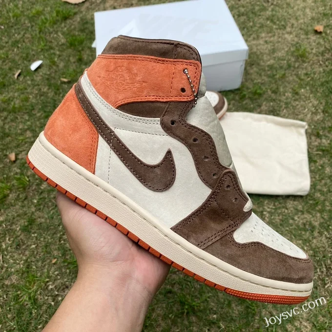 Air Jordan 1 High FQ2941-200 Cocoa Retro