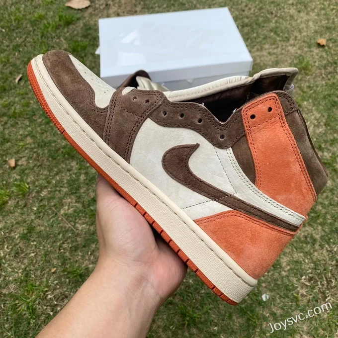 Air Jordan 1 High FQ2941-200 Cocoa Retro