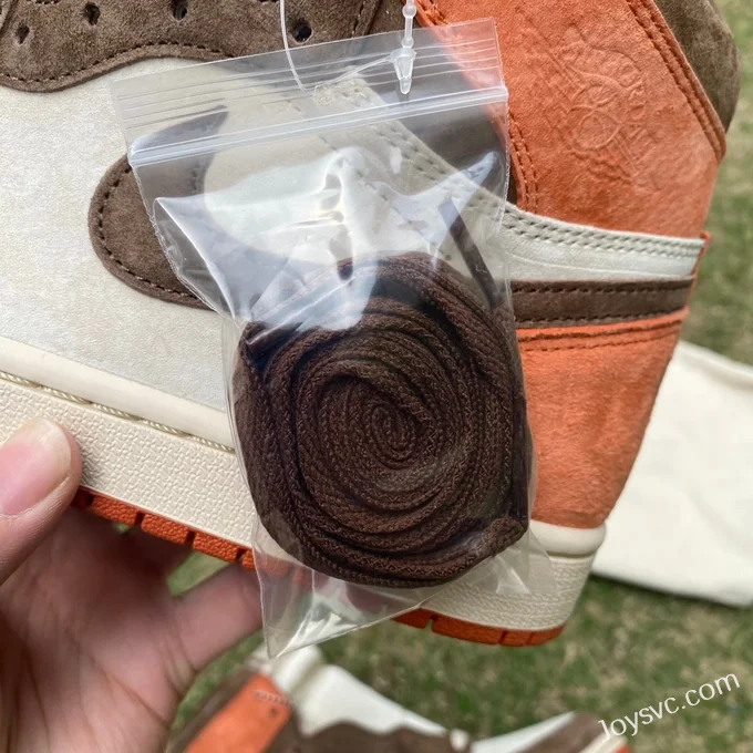 Air Jordan 1 High FQ2941-200 Cocoa Retro