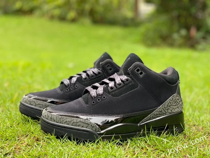 Air Jordan 3 CK9246-168 Black