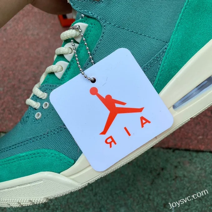 Nina Chanel Abney x Air Jordan 3 FZ7974-300 Green