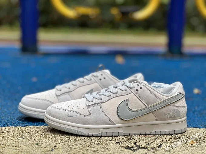 Nike Dunk x The North Face Grey Low-Top Sneakers DQ1098-338