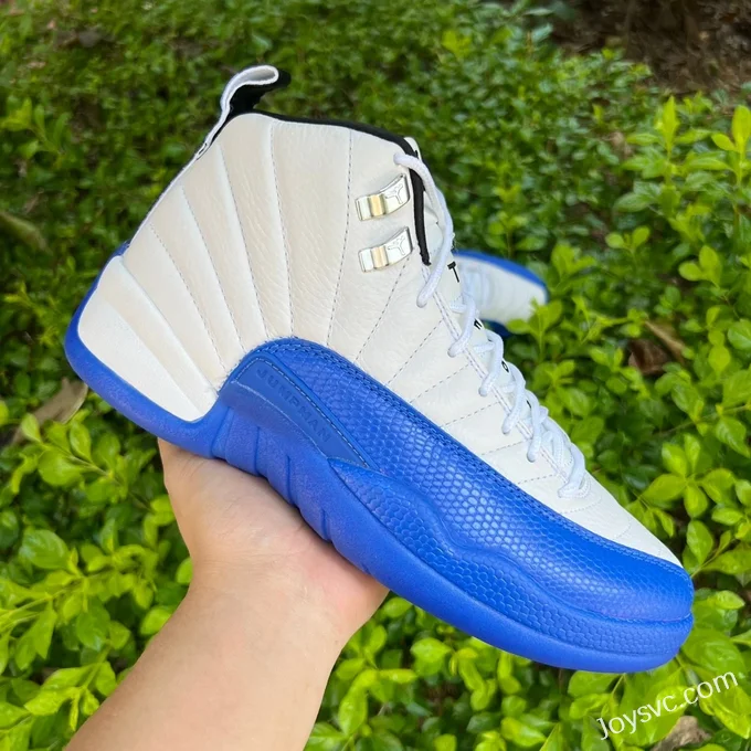 Air Jordan 12 