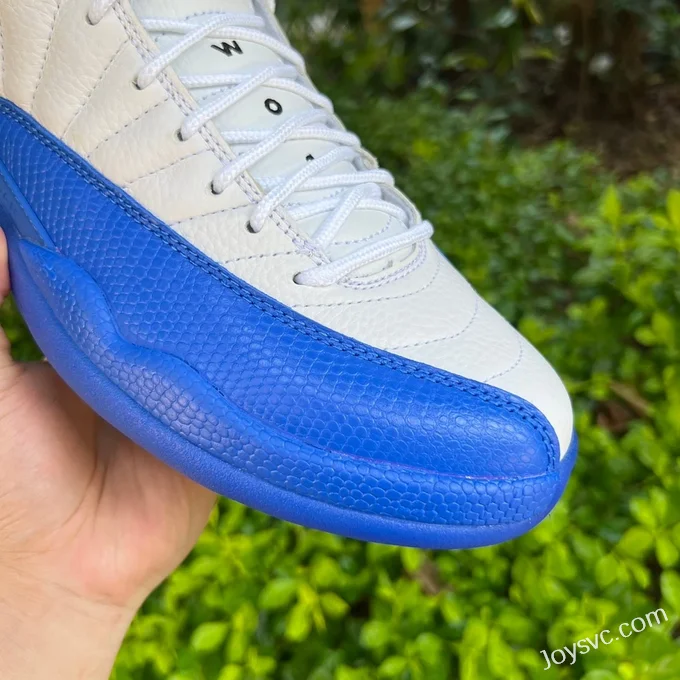 Air Jordan 12 