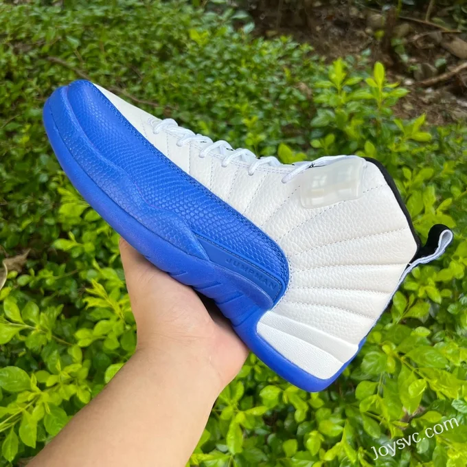 Air Jordan 12 