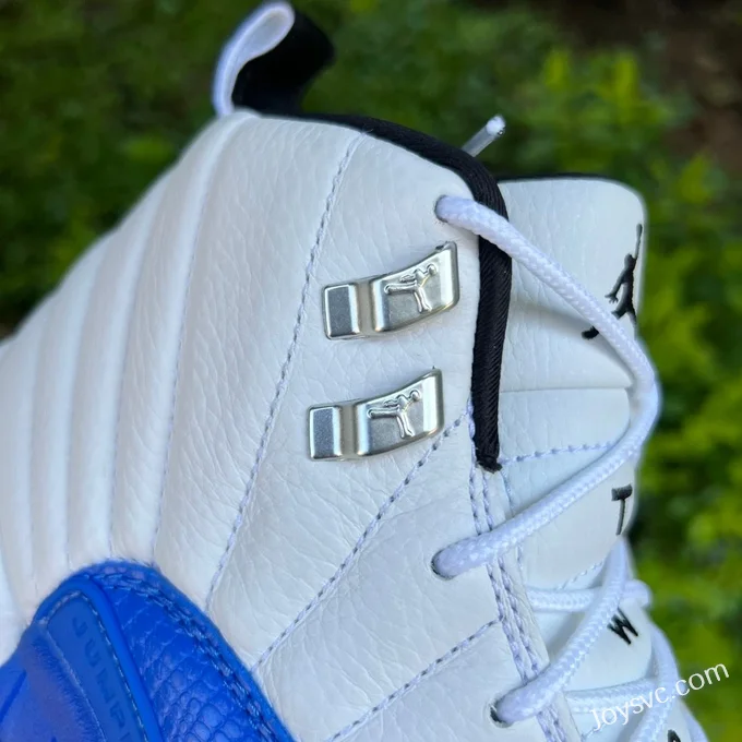 Air Jordan 12 