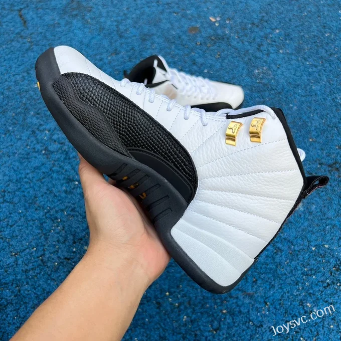 Air Jordan 12 