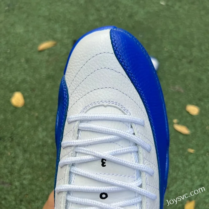 Air Jordan 12 