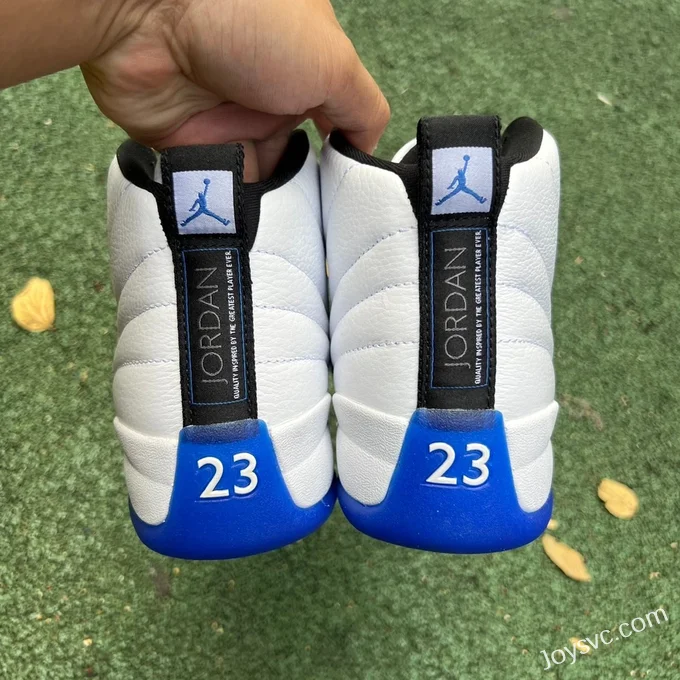 Air Jordan 12 